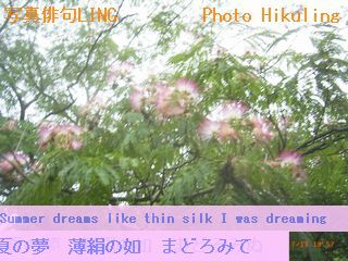 Iob_photo_hikuling_summerdreams