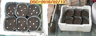 Iob_2018_minippkn_20180213