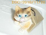 Iob_2018_toy_cat_20181122