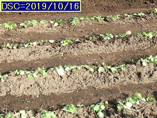 Iob_2019_kakina_20191016