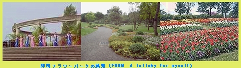 Iob_2020_g_fl_park_froma_lullaby_fo