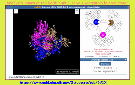 Iob_2021_6vxxstructure_of_the_sarsc