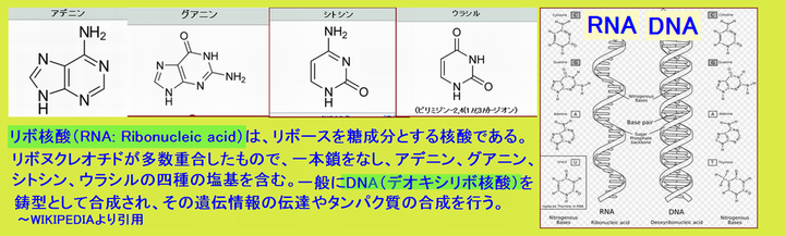Iob_2021_rna_dna__20210915