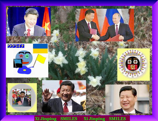 Iob_2022f_xi_jinping_smiles_b_ones_