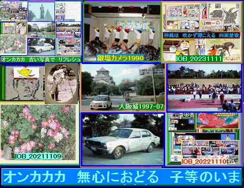 Iob_20241111_