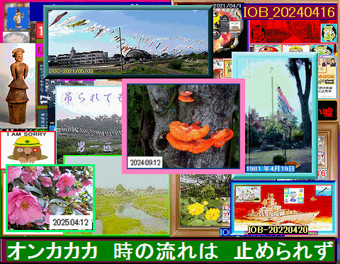 Iob_20250422_