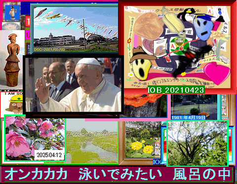 Iob_20250423__2