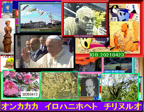 Iob_20250424_