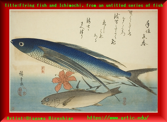 Iob_2020s_titleflying_fish_and_ichi