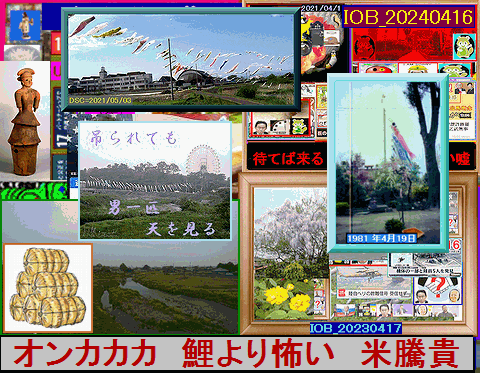 Iob_20250419_