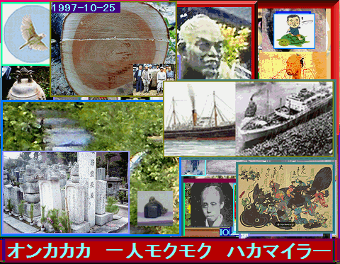Iob_20250509_