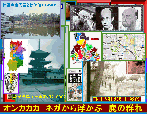 Iob_20250531_